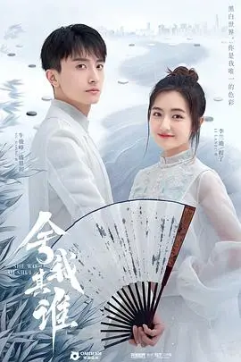 《舍我其谁》：深陷迷局，正义与人性的艰难抉择