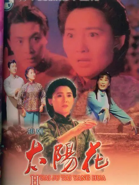 《太阳花》：绽放的生命与永不凋零的希望