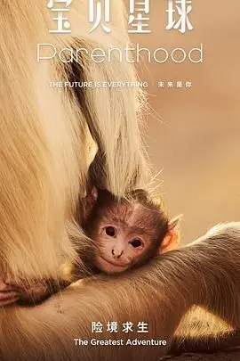 《宝贝星球》：探索未知的奇幻冒险，守护童真的温馨治愈之旅