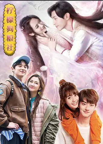 《柠檬狗粮社》：一部让你笑出腹肌又潸然泪下的治愈系喜剧，关于爱、陪伴与成长的深刻探讨