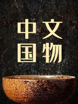 《中国文物》：穿越千年时光，触摸历史脉搏，探索未知世界的中华瑰宝！